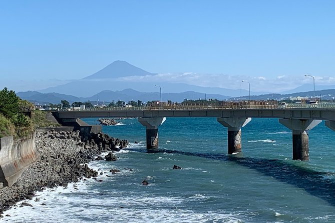 Guided Hybrid Bike Tour in Shizuoka City - Inclusions and Exclusions