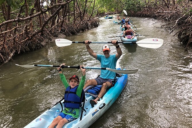 Guided Kayak Mangrove Ecotour in Rookery Bay Reserve, Naples - Tour Inclusions