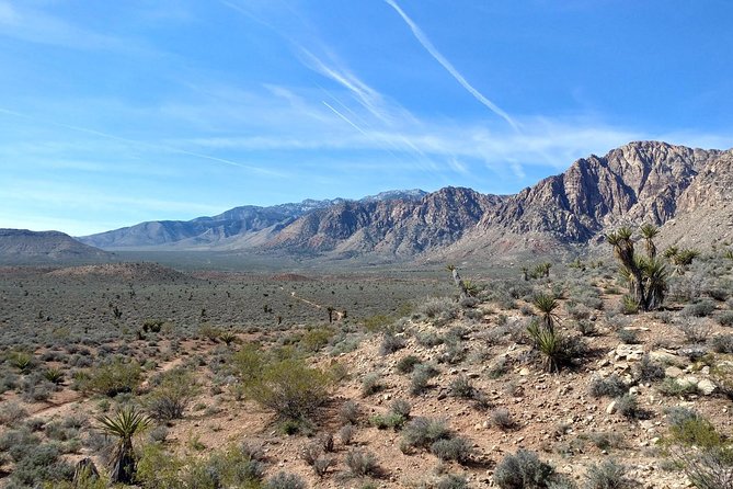 Guided Mountain Bike Tour of Mustang Trail in Red Rock Canyon - Guide and Equipment