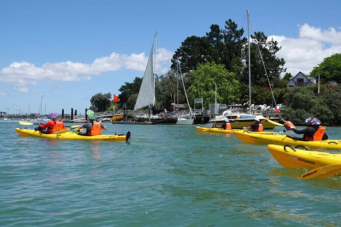 Guided Riverhead Tavern Kayak Tour in Auckland - Tour Highlights