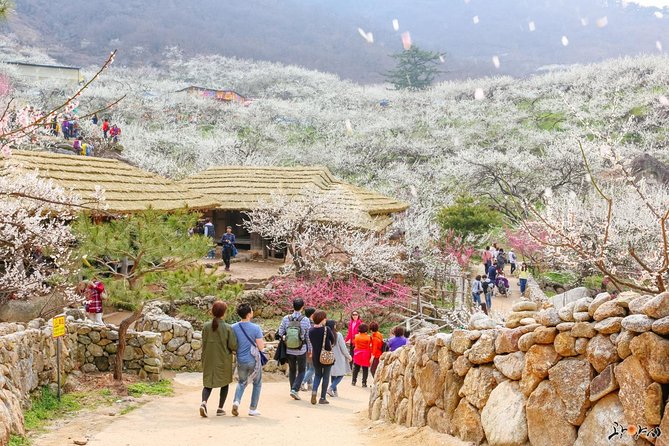 Gwangyang Maewha Flower and Jeonju Hanok Village 1 Day Trip From Seoul - Itinerary Details