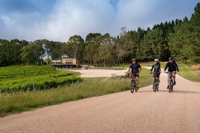 Hahndorf Food and Wine E-Bike Tour - Inclusions and Exclusions