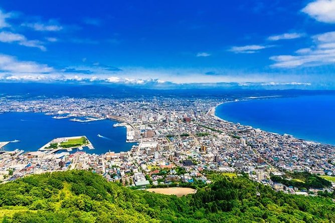 Hakodate Half-Day Private Tour With Government-Licensed Guide - Customization Options