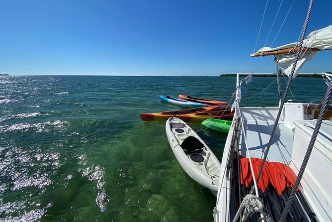 Half-Day Cruise From Key West With Kayaking and Snorkeling - Overview of the Experience