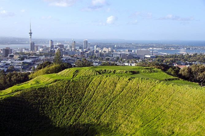 Half-day Discover Auckland City Sightseeing Tour - Pricing and Duration