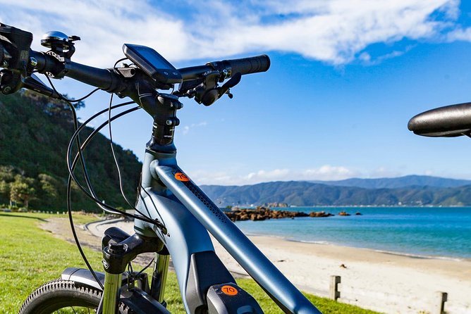 Half-Day E-Bike Rental With Helmet and Map, Wellington - Inclusions