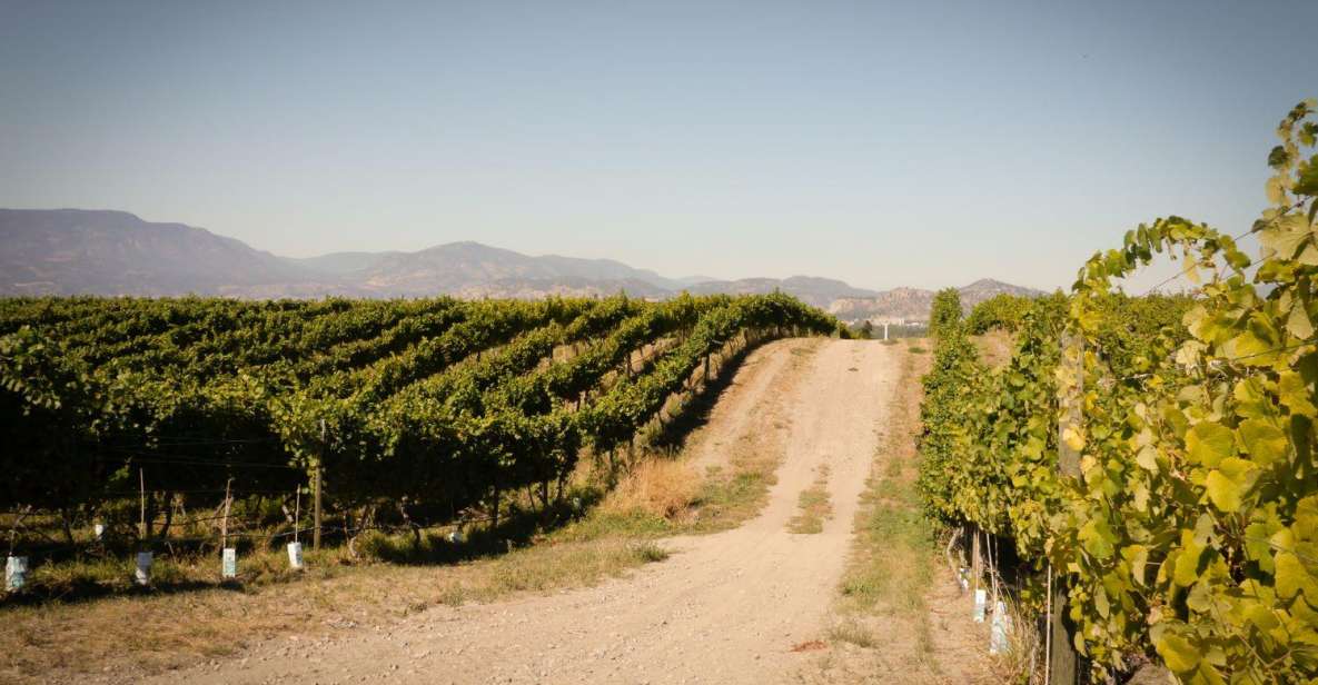 Half-Day East Kelowna Wine Tour - Tour Highlights