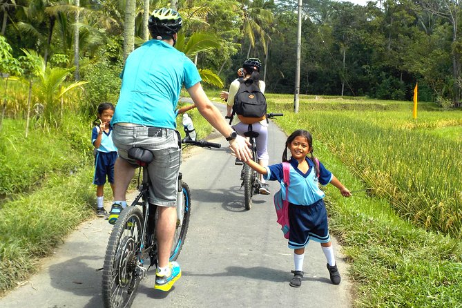 Half-Day Electric Cycling Tour of Ubud - Reviews and Recommendations
