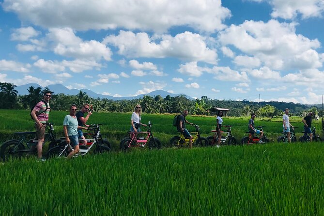 Half-Day Electric Fat Bike Tour of Ubud - Cancellation Policy