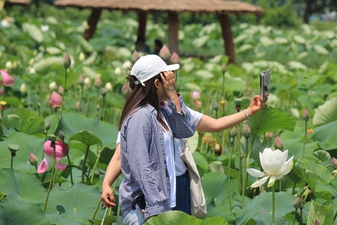 Half-Day Excursión Lotus Flowers and Local Foods From Busan - Tour Details and Expectations