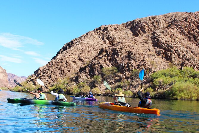 Half Day - EZ Guided Kayak Tour - What To Expect