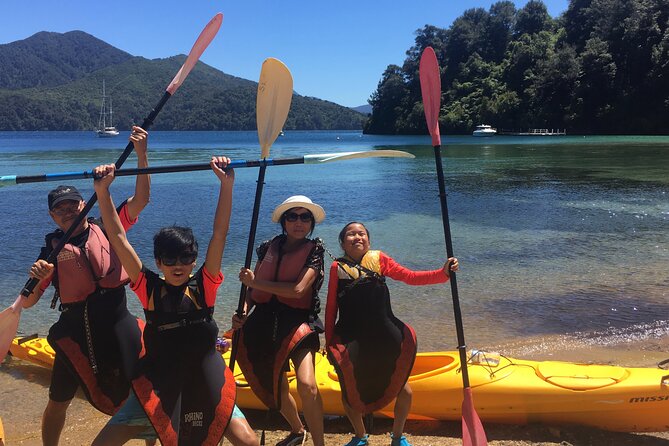 Half-Day Guided Sea Kayaking Tour From Anakiwa - Meeting and Pickup Details