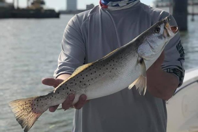 Half-Day Jetty Fishing Trip From Galveston - Customer Feedback and Ratings