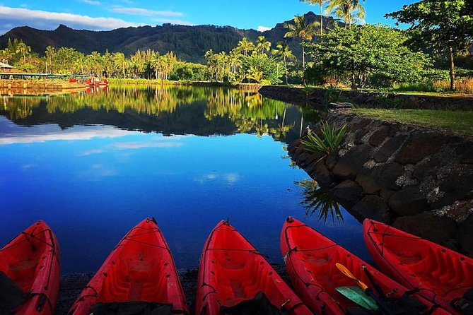 Half-Day Kayak and Waterfall Hike Tour in Kauai With Lunch - Inclusions and Highlights