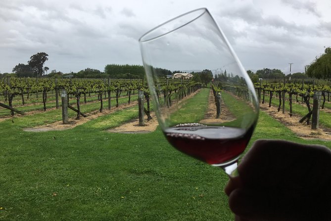 Half-Day Marlborough Wine Tour & Beer Tour - Customer Reviews