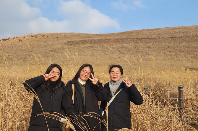 Half-Day Private Tour in Jeju Island With Roundtrip Transfer - Pickup and Transportation