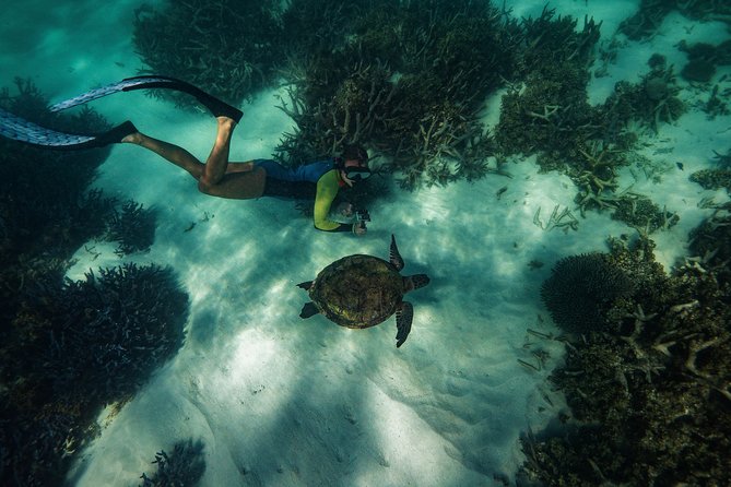 Half Day Snorkel 2.5hr Turtle Tour on the Ningaloo Reef, Exmouth - Snorkeling Equipment Provided