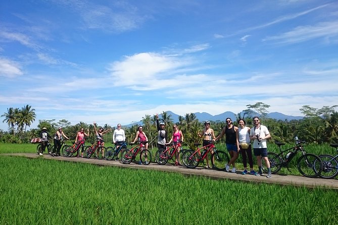Half-Day Ubud Electric Cycling Tour to Tirta Empul Water Temple - Electric Bicycles Recommendation