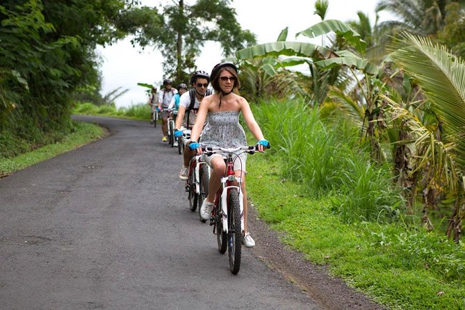 Half-Day Ubud Rice Field and Village Cycling Tour - Mobile Ticket and Language Options