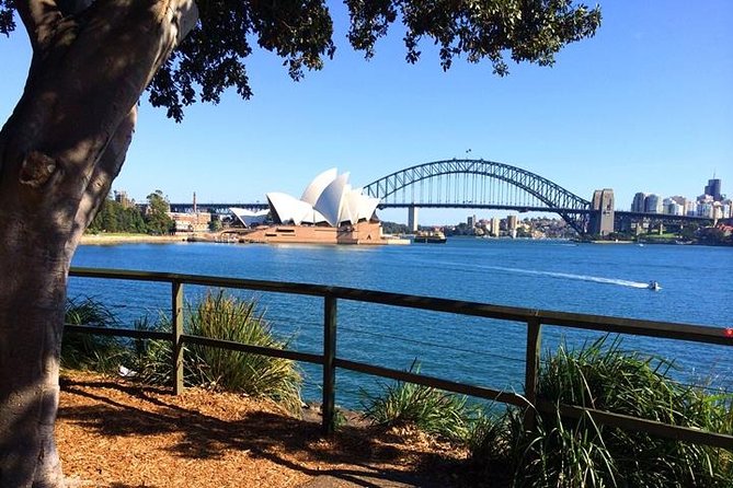 Half-Day Walking Tour in Sydney - Meeting Point and Logistics