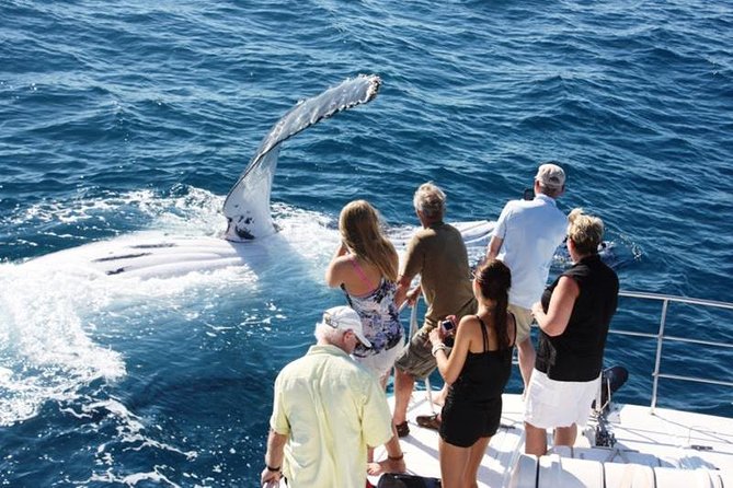 Half-Day Whale Watching Sunset Cruise From Broome - Whale Watching Experience
