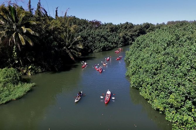 Hanalei Bay AM Kayak and Snorkel Tour - Activities and Highlights