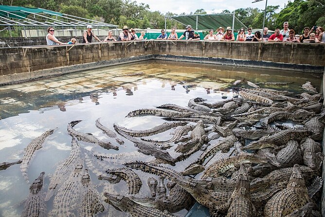 Hartleys Crocodile Adventures Day Trip From Palm Cove - Convenient Pickup and Round-Trip Transfers