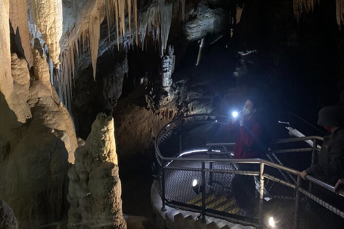 Hastings Caves, Tahune and Huon Valley Full Day Tour From Hobart - Tour Experience Insights