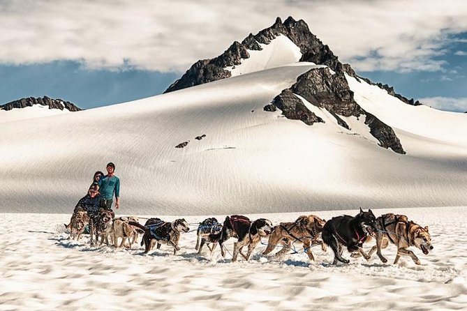 Helicopter and Glacier Dog Sledding Tour From Seward - Customer Reviews