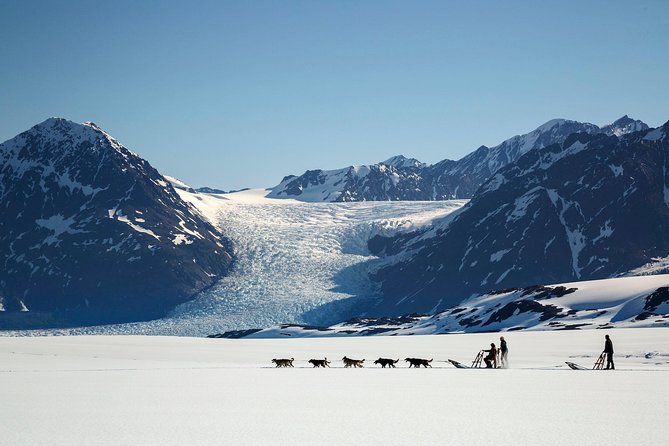 Helicopter Glacier Dogsled Tour Lower Glacier Landing - ANCHORAGE AREA - Booking Information