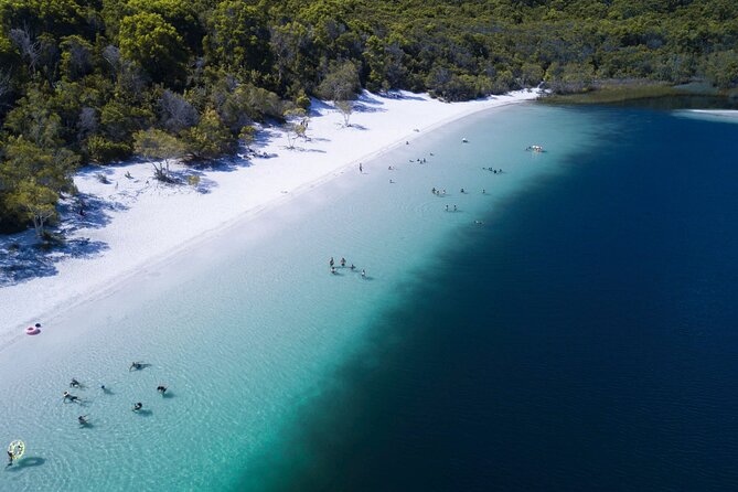 Hervey Bay to Fraser Island 4WD Tour With Lake Mckenzie Swim - Customer Experiences