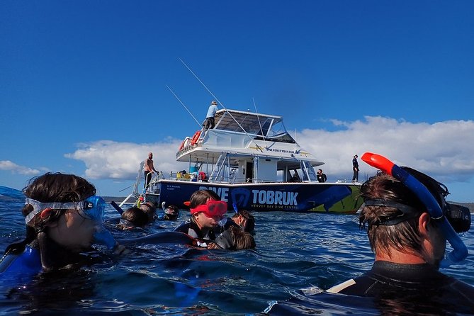 Hervey Bay Whale Swim and Watch - Booking Information