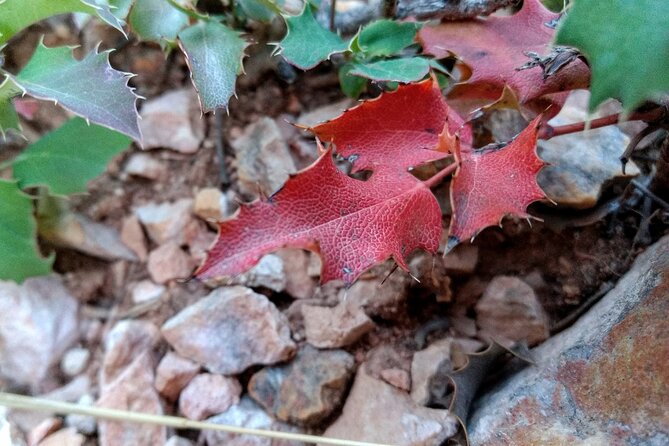 Hiking Experience in Bryce Canyon National Park - Tour Experience Details