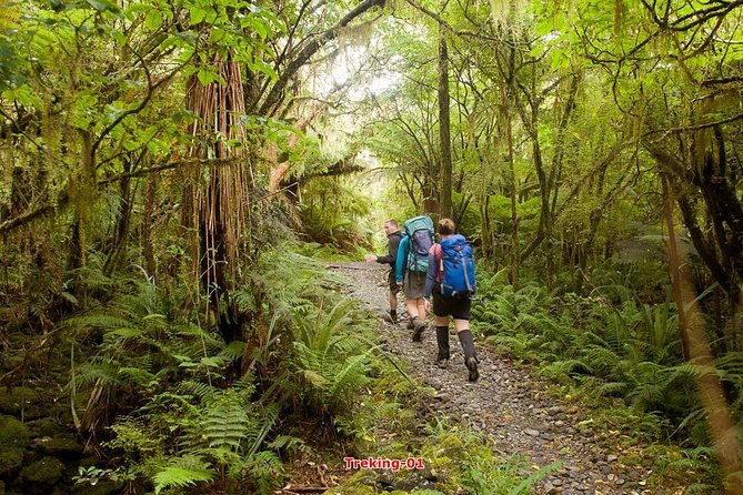 Hiking Trekking & Temple Stay 12days 11nights - Itinerary Details