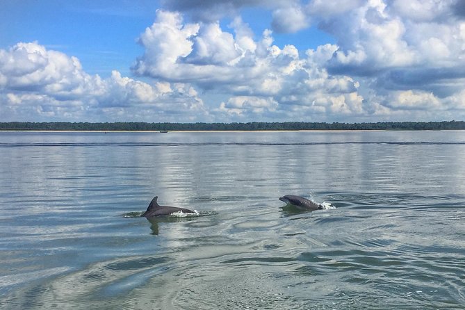 Hilton Head Dolphin Tour With Stop at Disappearing Island - Departure Details