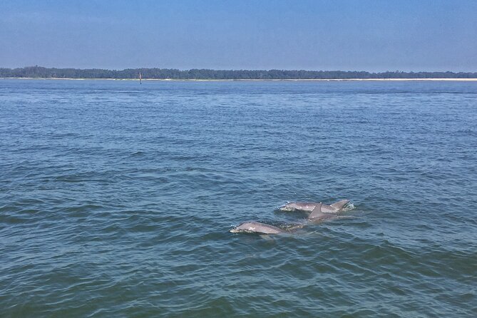 Hilton Head Island Dolphin Boat Cruise - Cancellation Policy