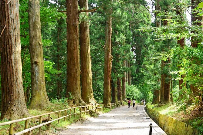 Hiraizumi Full-Day Private Trip With Government-Licensed Guide - Cancellation Policy