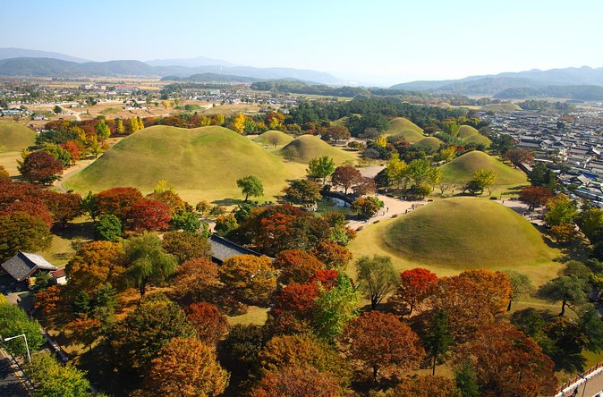 Historic and Natural Beauty- Gyeongju Autumn Foliage Day Tour - Booking Information