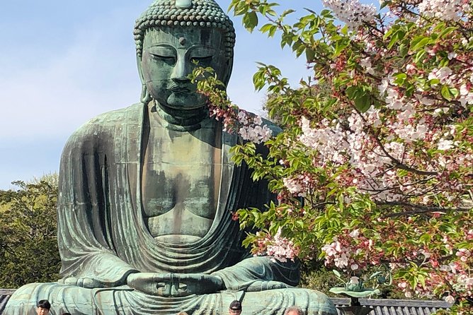 Historic Kamakura: Temples, Shrines and Street Food Private Walking Tour - Tour Inclusions