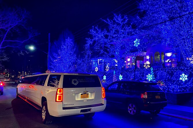 Holiday Lights Private Limo Tour - Booking and Logistics