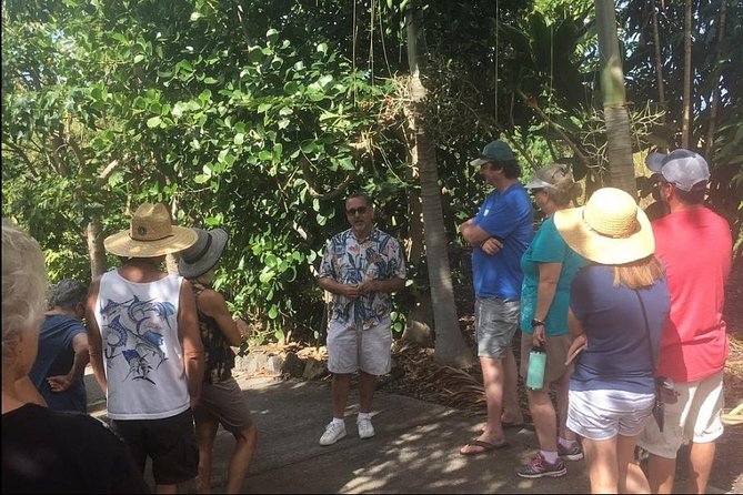 Holualoa Coffee and Chocolate Plantation 2-hour Guided Tour  - Big Island of Hawaii - Logistics and Accessibility