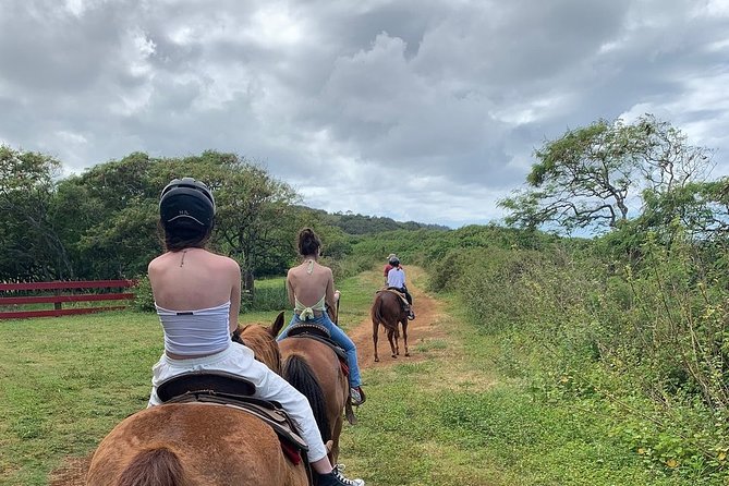 Horseback Ride Like an Authentic Paniolo in Kahuku - Customer Satisfaction and Feedback