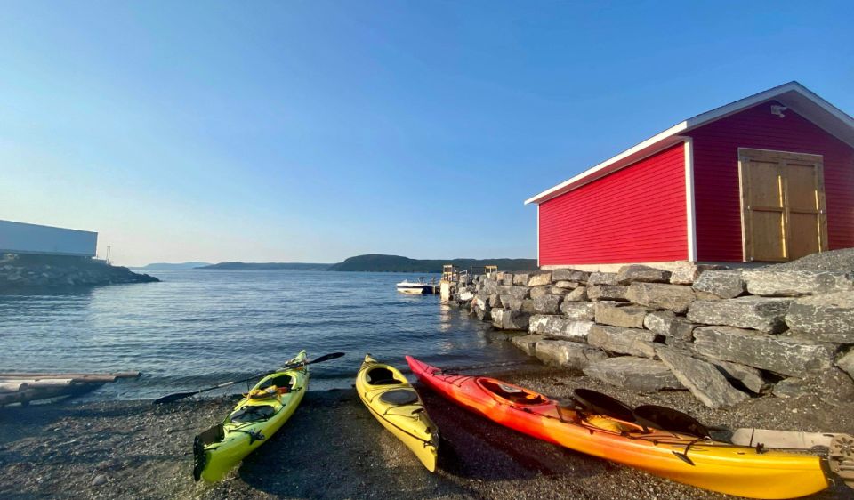 Humber Arm South: Bay of Islands Guided Kayaking Tour - Experience Highlights