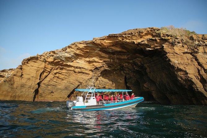 Hunter Coastal Adventure Tour by Boat From Newcastle - Health and Safety Guidelines
