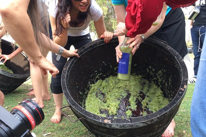 Hunter Valley Grape Stomping - Booking Information