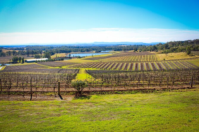 Hunter Valley Private Tour - Itinerary Highlights