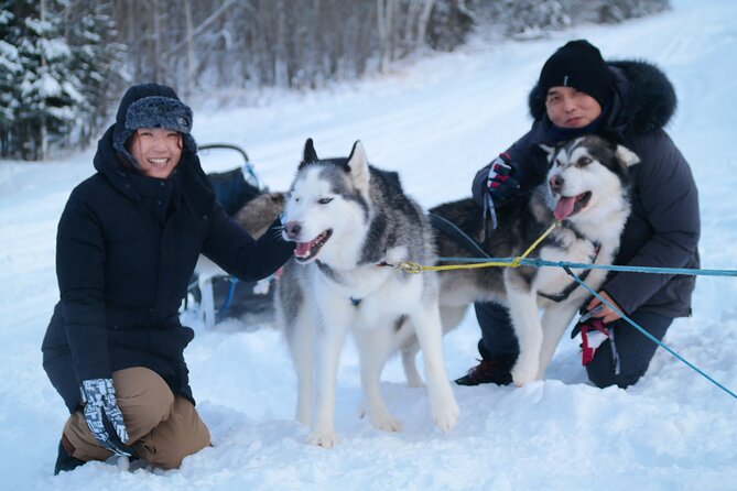 Husky Dog Sledding & Mushing With Pick up and Photo Service in Fairbanks, Alaska - Customer Experiences