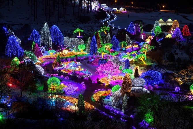 Hwacheon Sancheoneo Ice Festival X Garden of Morning Calm Lighting Festival - Must-See Attractions