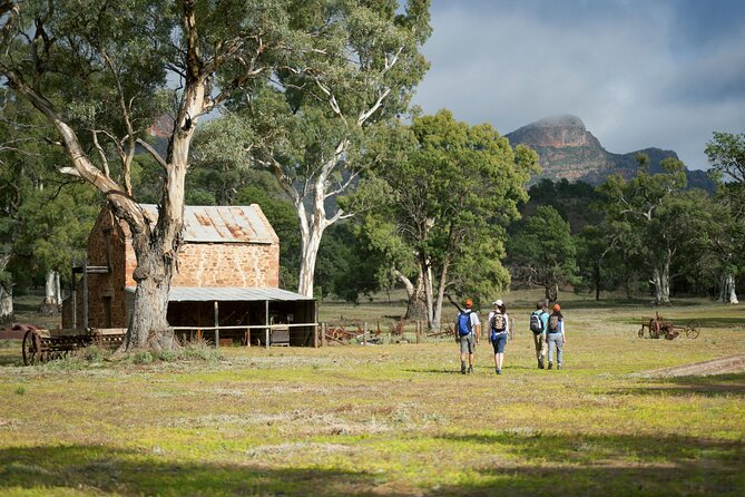 Ikara-Flinders Ranges Hiking Tour - 5 Days - Itinerary Overview