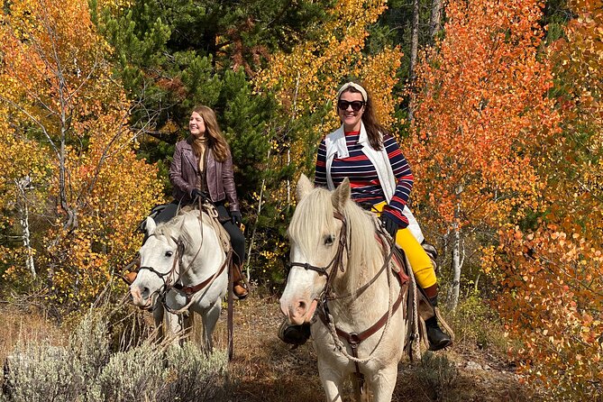 Jackson Hole Horseback Riding in Bridger Teton National Forest - Booking and Cancellation